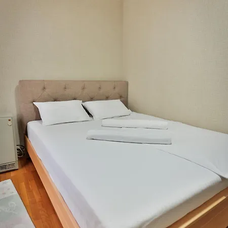 Malisic Vracar Apartment *