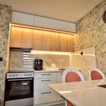 公寓 Malisic Vracar 贝尔格莱德