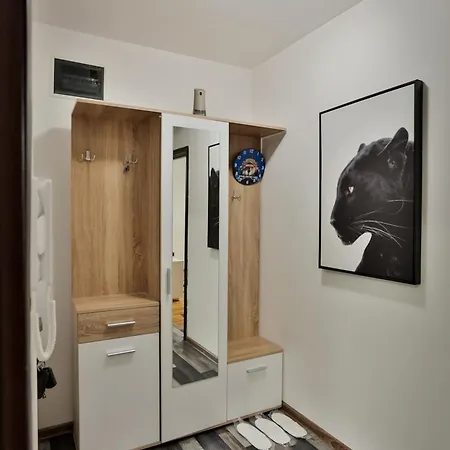 Apartment Malisic Vracar *