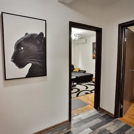 Malisic Vracar Apartment *